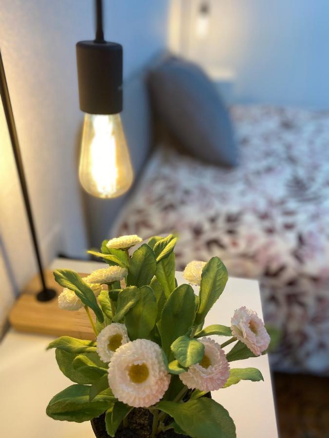 Sagunto A Separate Room Comfort In A Two-Room Apartment Is 28 Km From Valencia With Wi-Fi المظهر الخارجي الصورة